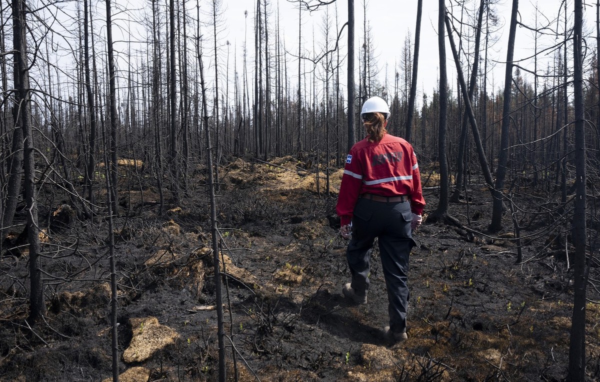 Society of Protection of Forests from Fire (SOPFEU) prevention agent Melanie Morin walks through an area of burned forest in the area surrounding Lebel-sur-Quevillon, Quebec, Wednesday, July 5, 2023.  ...