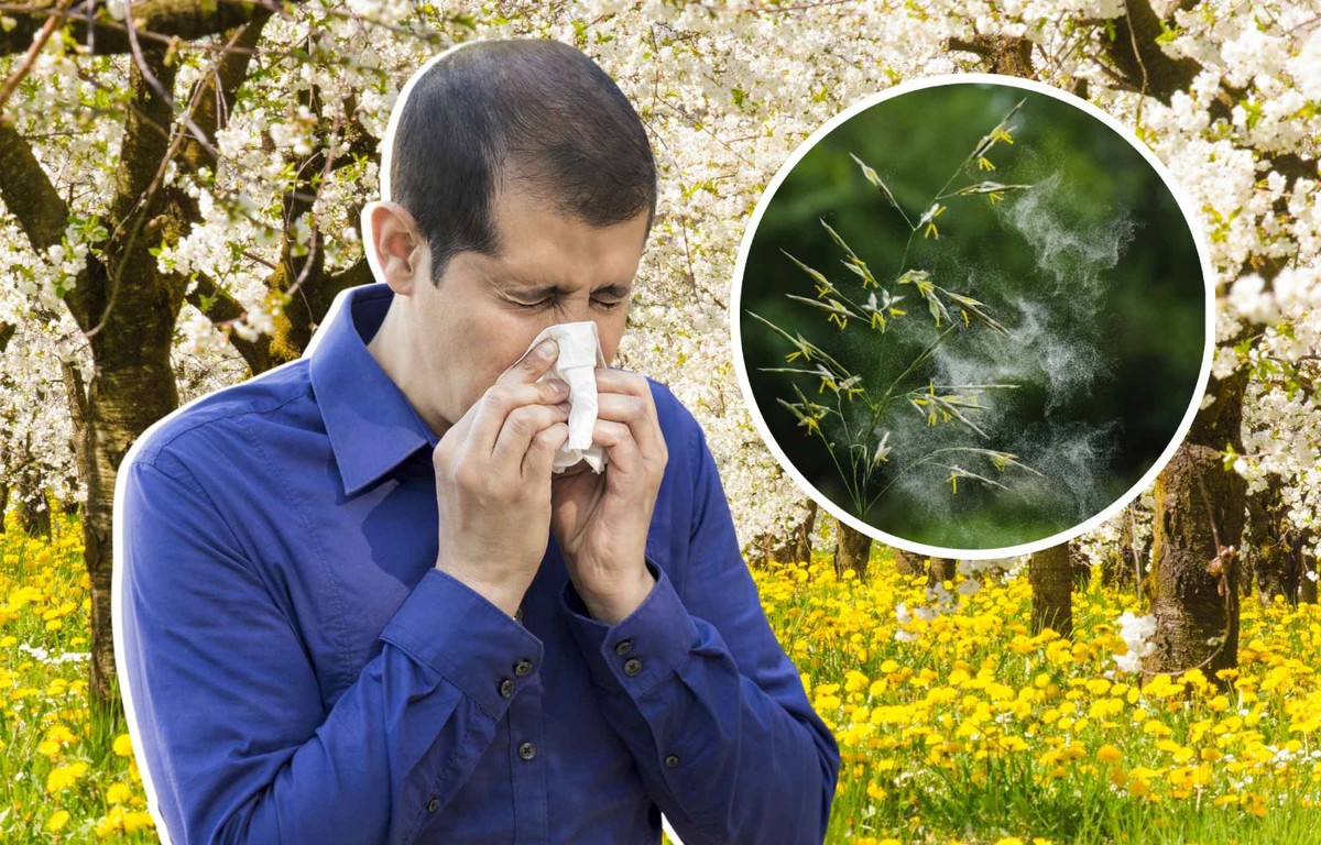 Voici pourquoi le rhume des foins pourrait être très intense cette année.