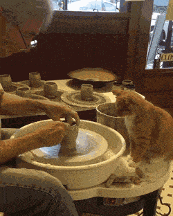 Animiertes GIF