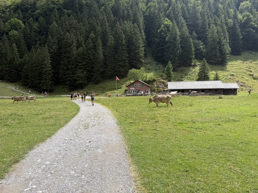 Alpstein Ranger Seealpsee Massentourismus Overtourism