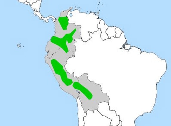 Kokain-Anbaugebiete in Südamerika