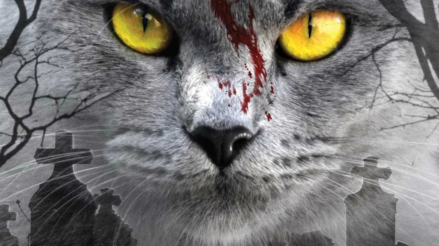 Böööses Büsi! Stephen Kings «Pet Sematary» ist wieder da
