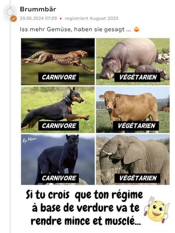 pidi91