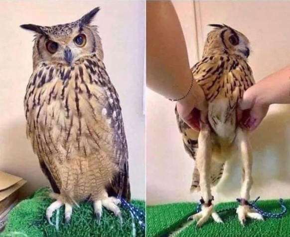 Es wird Sommer, wir zeigen Bein