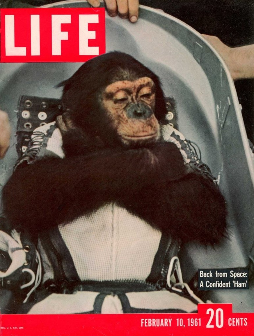LIFE-Cover vom Februar 1961: Ham nach seiner Rückker auf die Erde.