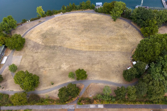 Luftaufnahme der ausgetrockneten Wiese auf der Kraftwerkinsel in Birsfelden, am Donnerstag, 20. August 2026. (KEYSTONE/Georgios Kefalas)