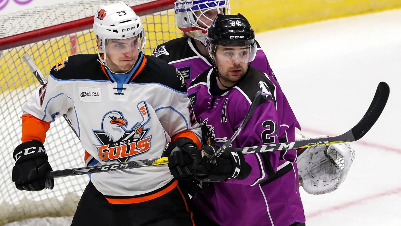 CLEVELAND, OH - MARCH 24: Cleveland Monsters defenceman Cameron Gaunce (24) defends against San Diego Gulls center Julius Nattinen (23) during the third period of the American Hockey League game betwe ...