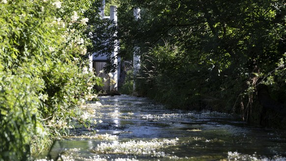 Fluss Wyna, aufgenommen 26. Juni 2018. Der Hochwasserrueckhaltenbecken Moos schuetzt der Dorf Zetzwil (AG) vor schnelle Anstieg der Pegel der Fluss Wyna .Diese Hochwasserrueckhaltenbecken hat platz fu ...