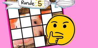 Noch eine Runde Tiere! Bist du dieses Mal besser? 🐷