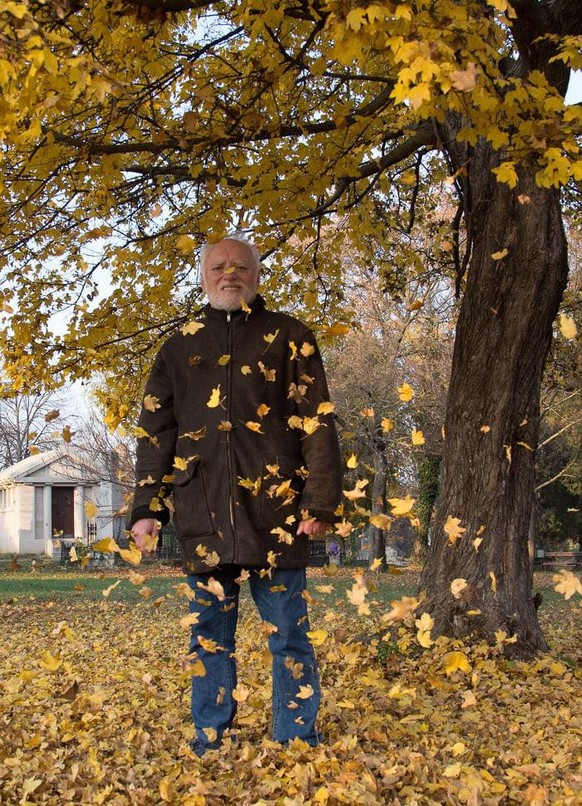 PICDUMP 390 вЂ“ jep, auch hier ist jetzt schon Weihnachten! рџҐІ \nAah, Herbst рџЌЃрџЌ‚