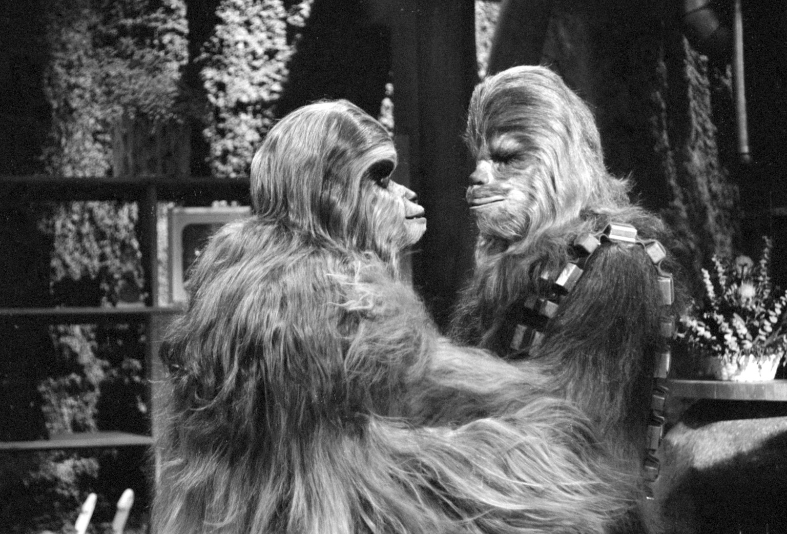Chewbacca mit Ehegattin Malla (l.) in einer Szene aus dem «Star Wars Holiday Special»-TV-Film, 1978. 
