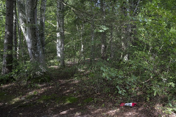 Ein Polizeiabsperrband liegt auf dem Waldboden im Zusammenhang mit dem ersten Einsatz der Todeskapsel �Sarco� der Sterbehilfsorganisation �The Last Resort�, aufgenommen am Mittwoch, 25. September 2024 ...