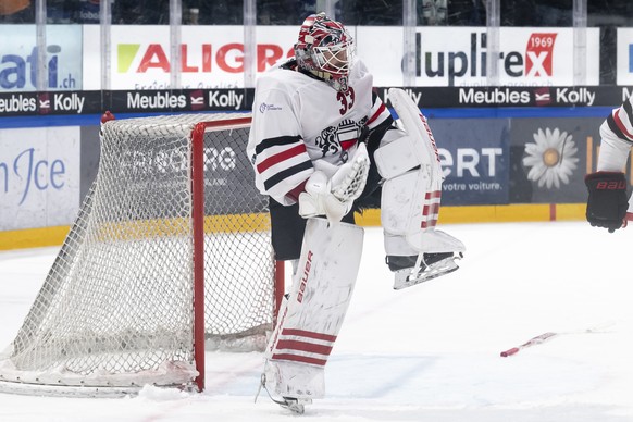 Torhueter Kevin Pasche (LHC) jubelt nach dem Sieg (1-0) nach dem zweiten Eishockey Playoff Halbfinalspiel der National League zwischen dem HC Fribourg-Gotteron (HCFG) und dem Lausanne HC (LHC) am Dien ...