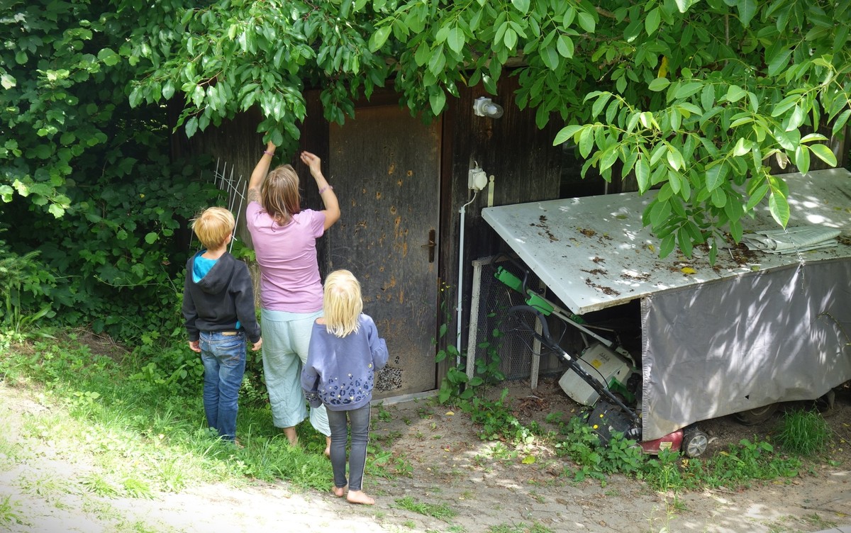Homeschooling - wie es funktioniert und ob die Kinder gleich viel lernen und soziale Kontakte haben, zeigt ein Besuch bei einer Aargauer Familie.