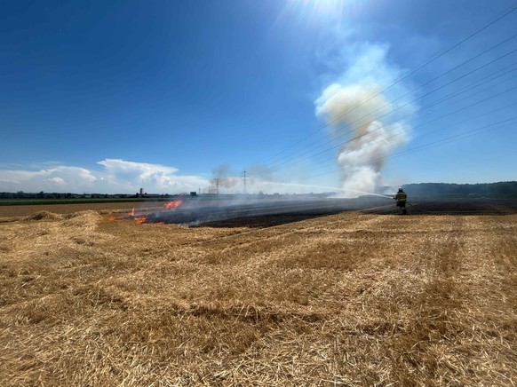 Brand Feld Deitingen SO 11.7.26