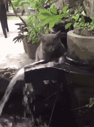 Animiertes GIF
