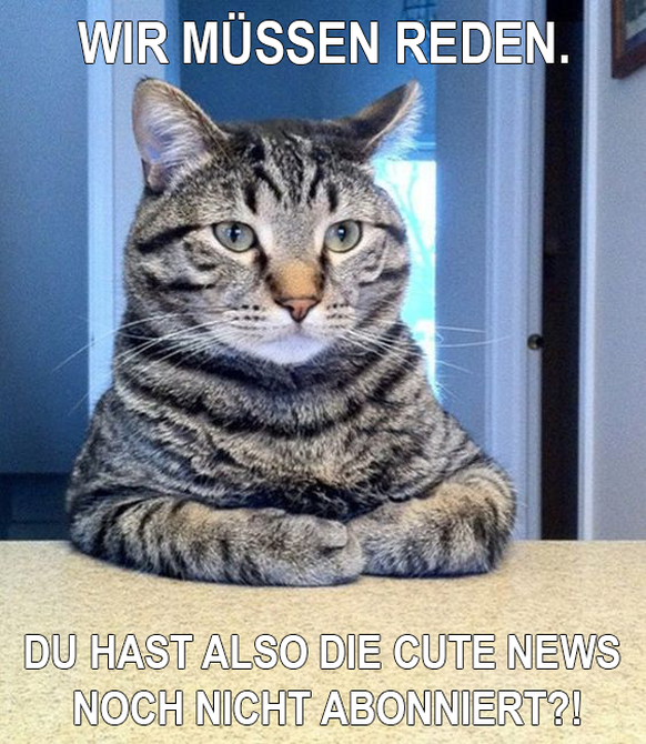 Wir müssen reden

http://peekworthy.com/45-pictures-of-cats-that-sum-up-life/25/#axzz41xf4AbiS