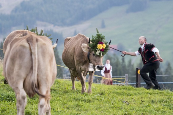 Sieht zwar sehr schweizerisch aus, hat jedoch eine ganz andere Meinung: Das Entlebuch in Luzern.