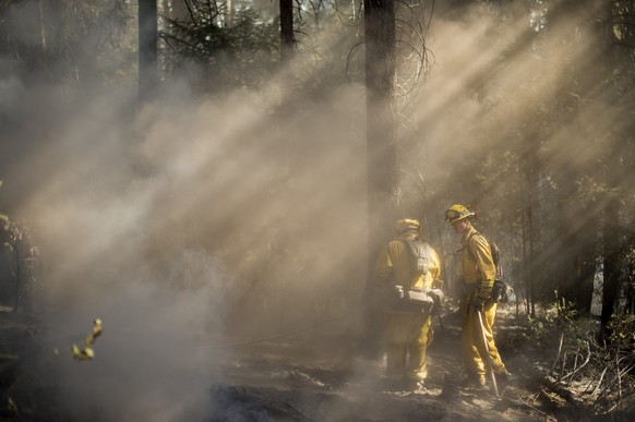 Feuerwehrleute in Fresh Pound: 12 Brände bedrohen momentan den Bundesstaat Kalifornien