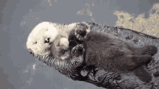 Animiertes GIF