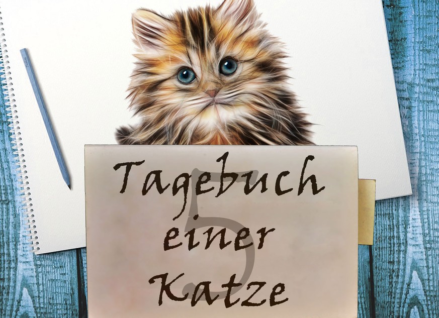 «Liebes Tagebuch, ich glaube, ich bin schwer krank!»