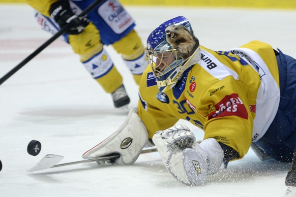 Mit Leonardo Genoni im Tor soll beim SCB in der kommenden Saison alles besser werden.