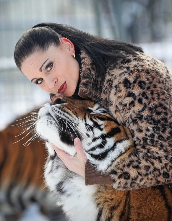 Carmen Zander vom Dresdner Weihnachts-Cirkus mit ihren Tigern.

Carmen Zander of Dresdner Christmas Cirkus with theirs Tigers