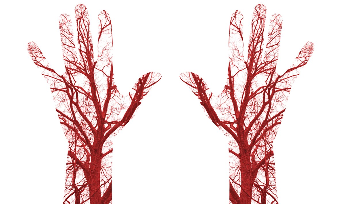 Die linke und die rechte Hand sind anatomisch identisch.