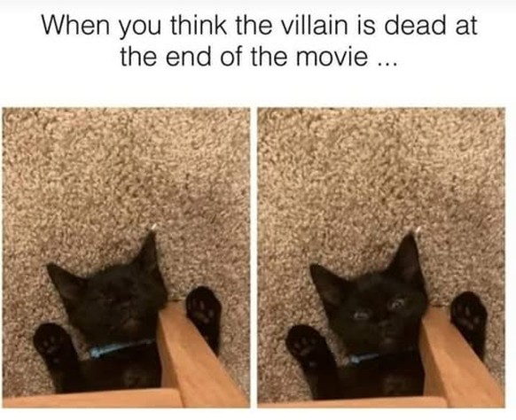 film memes

https://www.instagram.com/p/DMIbgnWg997/