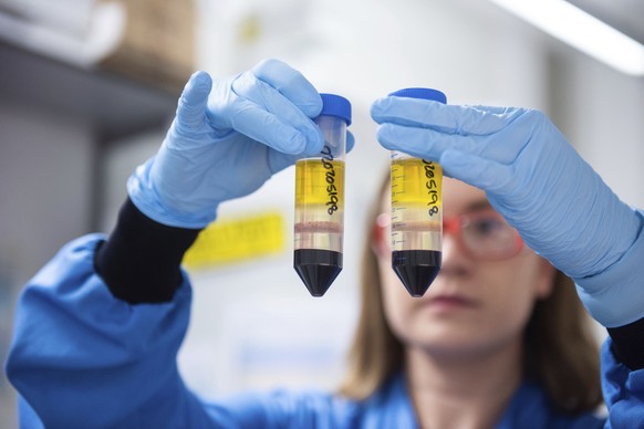 In this undated photo issued by the University of Oxford, a researcher in a laboratory at the Jenner Institute in Oxford, England, works on the coronavirus vaccine developed by AstraZeneca and Oxford  ...