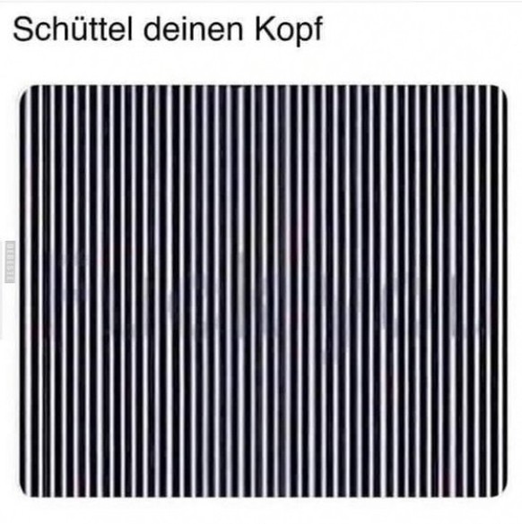 Picdump 206 – wer Memes liebt, ist hier genau richtig\nHier noch ein Must-have für den Arbeitstag...
"Du häsch g'seh, ....?"
Ich zücke Vorlage.