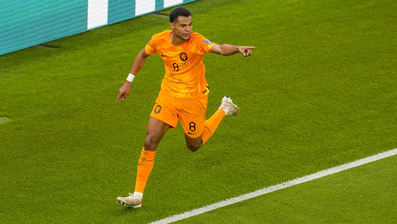 Cody Gakpo of the Netherlands celebrates after scoring his side&#039;s first goal during the World Cup, group A soccer match between Senegal and Netherlands at the Al Thumama Stadium in Doha, Qatar, M ...