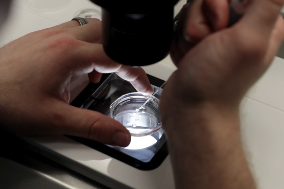 FILE - Lab staff prepare small petri dishes, each holding several 1-7 day old embryos, for cells to be extracted from each embryo to test for viability at the Aspire Houston Fertility Institute in vit ...