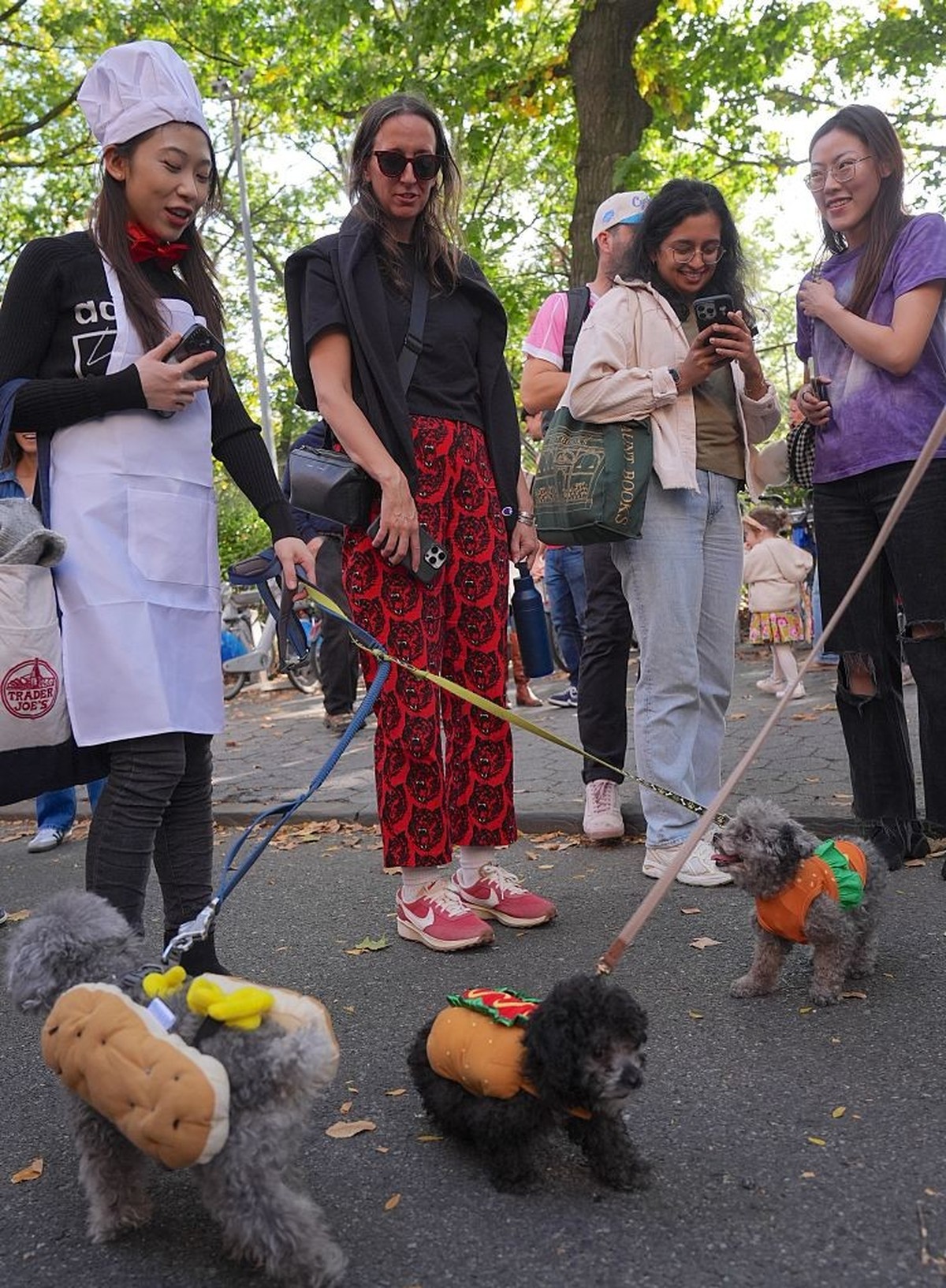 NEW YORK, UNITED STATES - OCTOBER 19: Dog owners in New York City are participating in the Tompkins Square Halloween Dog Parade, dressing their furry friends in colorful costumes on Sunday, October 19 ...