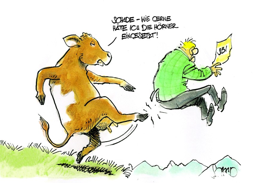 Gezeichnet 2018

© Felix Schaad, Tages Anzeiger