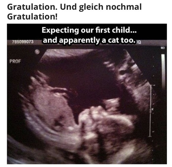 Wenn du eigentlich arbeiten solltest, aber ... PICDUMP
09:17 
Yonni Meyer verkündet öffentlich Schwangerschaft auf watson. (Congrats!)

09:14
Lina Selmani postet bereits 1. Ultraschallbild davon.  ...