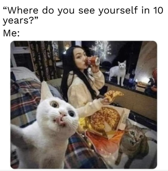 Lustige SIngle Memes