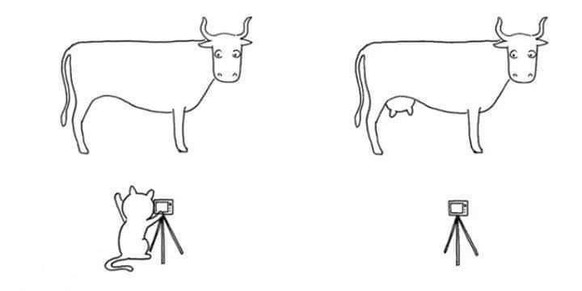 So, endlich Zeit fГјr Fondue. Und PICDUMP! рџ¤¤
Katzen... рџ¤·рџЏ»вЂЌв™‚пёЏ