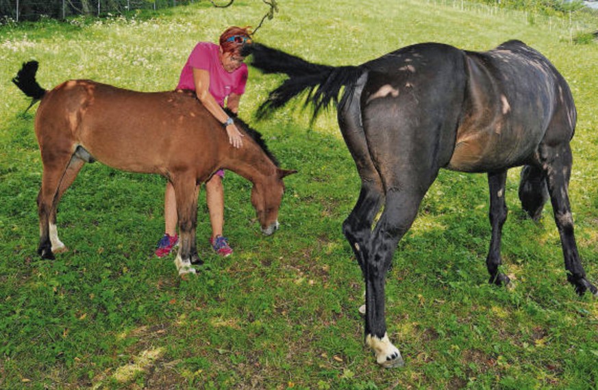 «Wer tut nur so etwas?» In Jasmin Hutters Zoo peinigt ein Tierquäler Ponys und Kaninchen