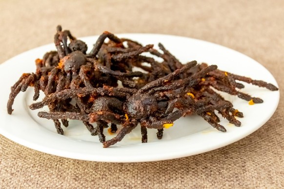 fried spider, street food in cambodia