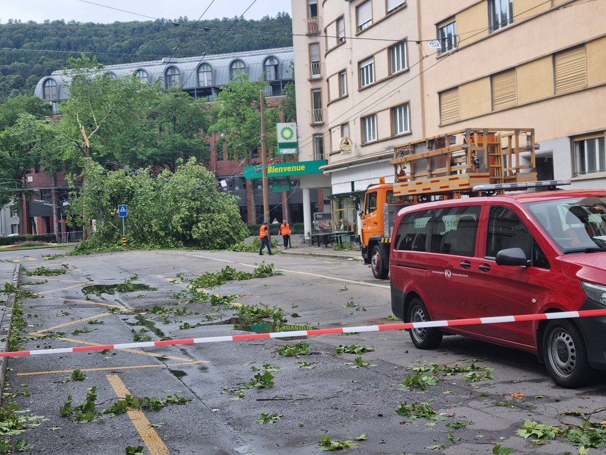 Aeste und umgeknickte Baeume liegen nach einem heftigen Gewitter auf dem Place de la Gare in Biel, Sonntag, 15. Juni 2025. (KEYSTONE/Stephane Hofmann)