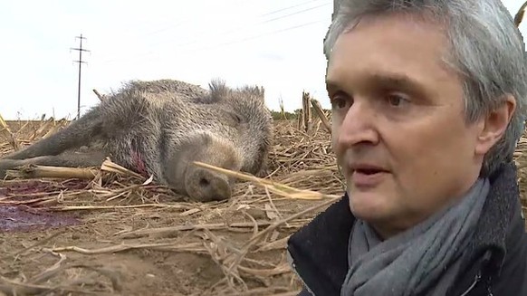 Lukas Berger, Jurist vom Schweizer Tierschutz