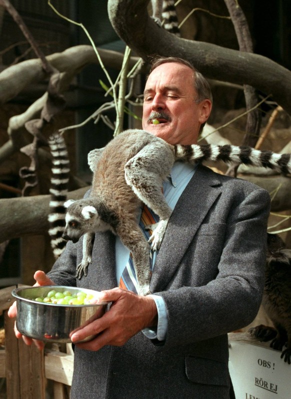 SCANPIX/SWEDEN, 1997-04-22. John Cleese i Stockholm för att göra reklam för sin nya film Farliga djur som snart har premiär i Sverige. Pa bilden med ny kompis, Skansens lemur. STOCKHOLM SVERIGE x50000 ...