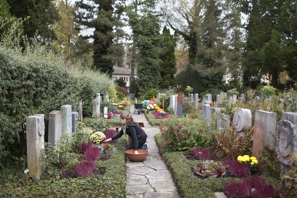 ZUM ALLERHEILIGEN DIESEN SAMSTAG, 1. NOVEMBER, STELLEN WIR IHNEN FOLGENDES NEUE BILDMATERIAL ZUR VERFUEGUNG --- Florists decorate a grave, pictured in the cemetery Enzenbuehl in Zurich, Switzerland, o ...