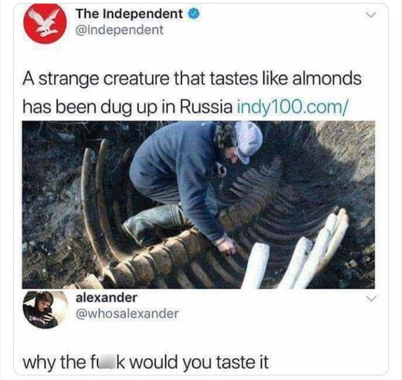 Funny headlines