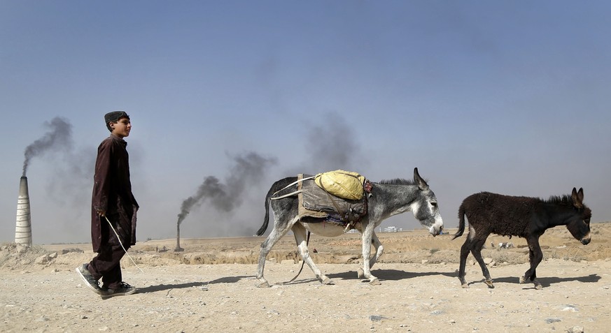 epa06224850 An Afghan boy leads his donkeys to work in the backdrop of a brick Kiln on the outskirts of Kabul, Afghanistan, 24 September 2017. Due to the lack of schooling and education facilities in  ...