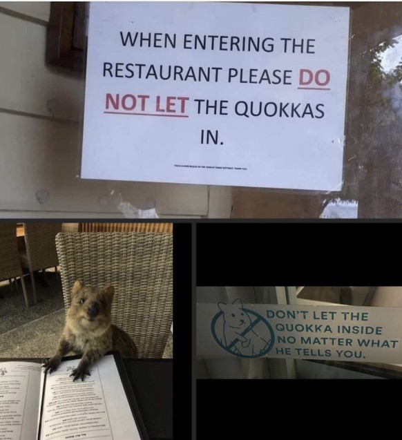 Die lustigsten Fails der Woche: Quoakka im Restaurant