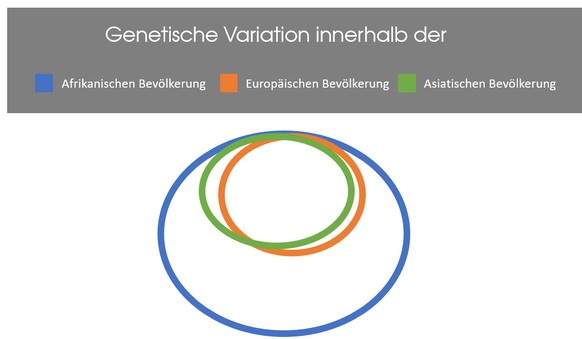 Daten: Amerikanische Anthropologische Gesellschaft