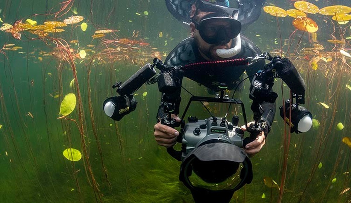 Shane captured his winning image while diving in a lake in British Columbia, Canada ©Shane Gross
Wildlife Photographer of the Year 2024