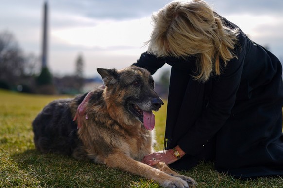 epa08965032 A handout photo made available by the White House shows US First Lady Jill Biden with First Dog Champ outside the White House, in Washington, DC, USA, 24 January 2021 (issued 25 January 20 ...